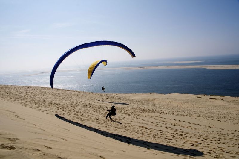 Silhouette people paragliding at beach against sky