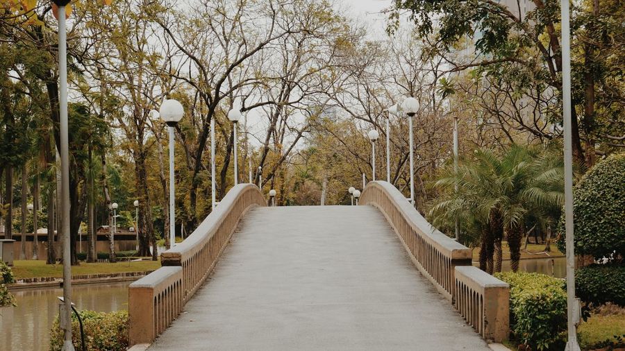 Scenic view of a bridge in a park