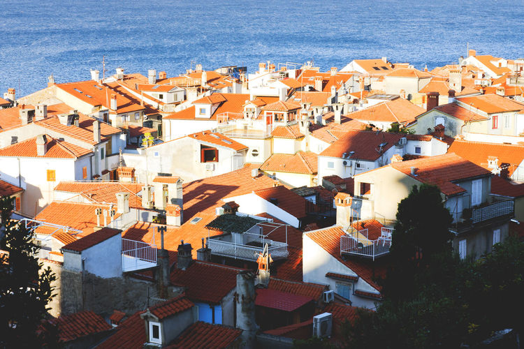 Red roofs of old town piran with main church against the sunrise sky, adriatic sea. slovenia