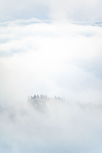 Scenic view of fog covered landscape against sky