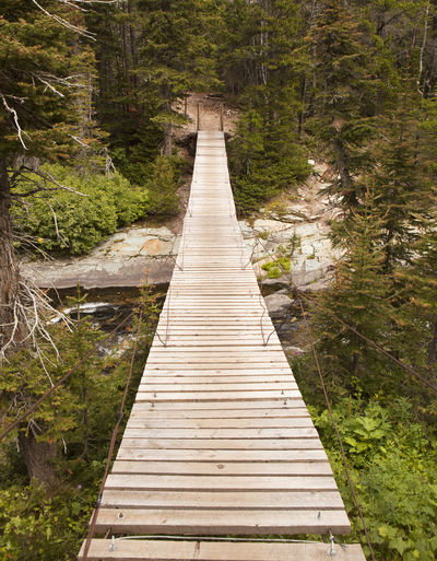 A wood suspension bridge provides a precarious crossing over a stream in glacier national park.