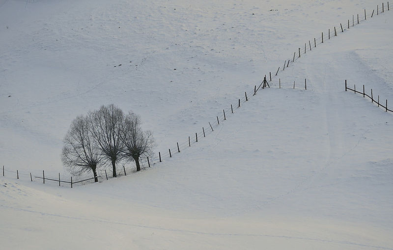 Winter trees and fences in sirnea village, brasov romania