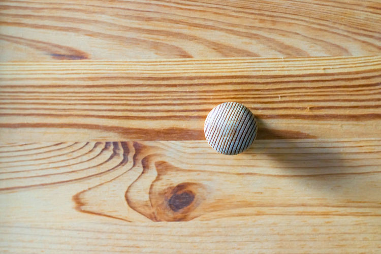 High angle view of seashell on wooden table