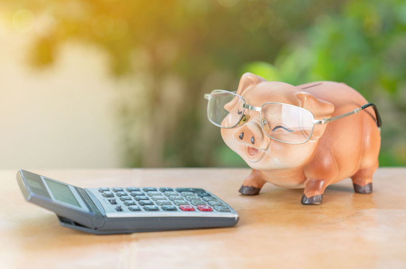 Piggy bank wear glasses focus calculator concept of cost or invesment on out of focus background.