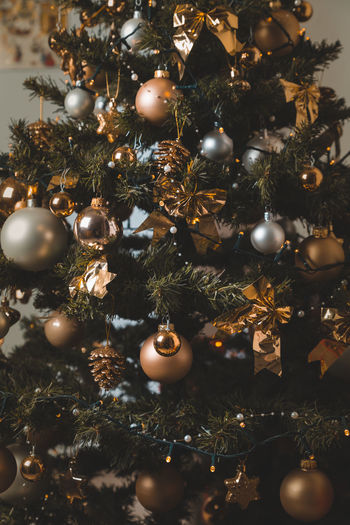Close-up of christmas tree