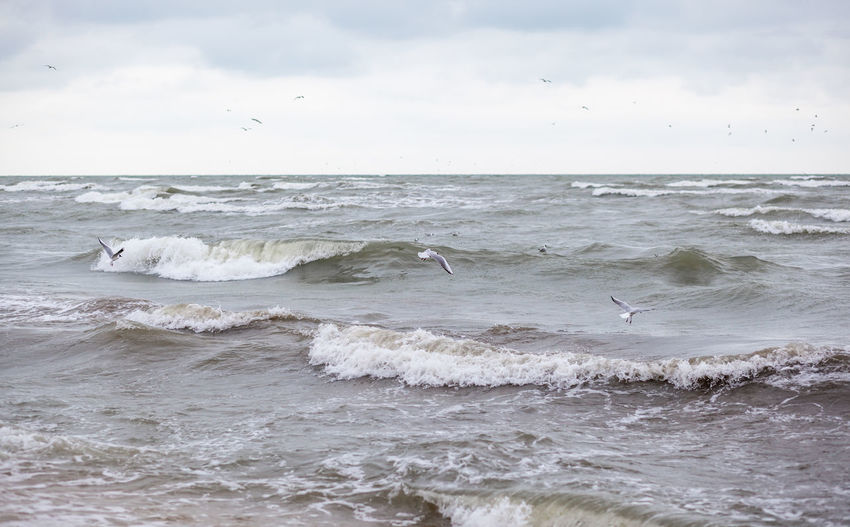 sea