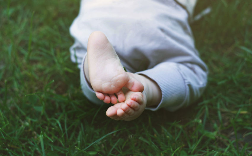 Low section of baby lying on grass