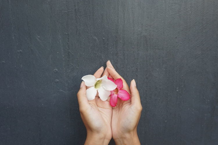 Low section of hands holding flowers