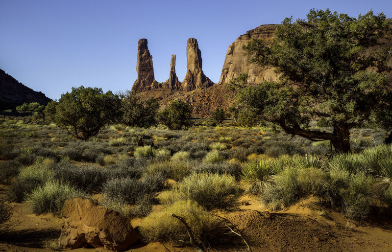 View of rock formation on landscape against clear sky