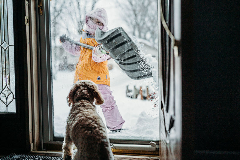 Dog standing by door in winter with child shoveling snow outside 