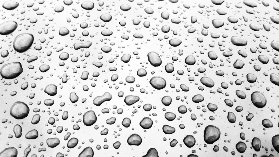 Water drops on white background.
