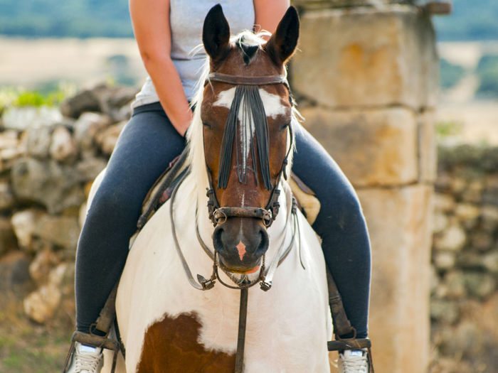 Low section of woman on horse