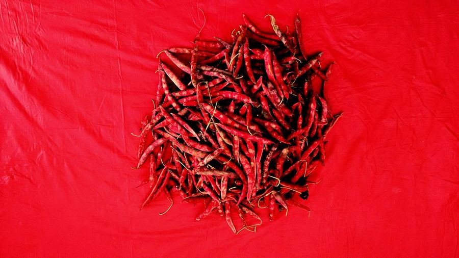 High angle view of chili peppers on red fabric