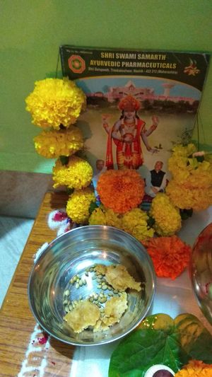 High angle view of various flowers on table at home