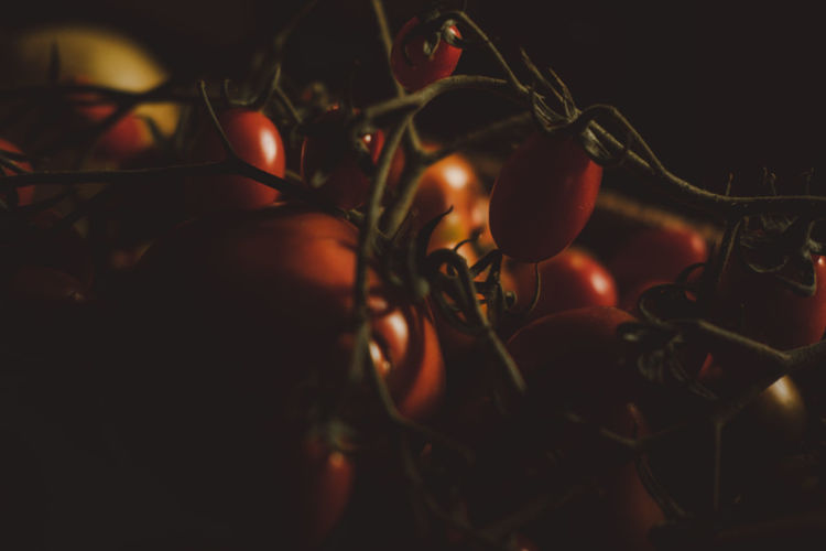 Close-up of red tomatoes in dark