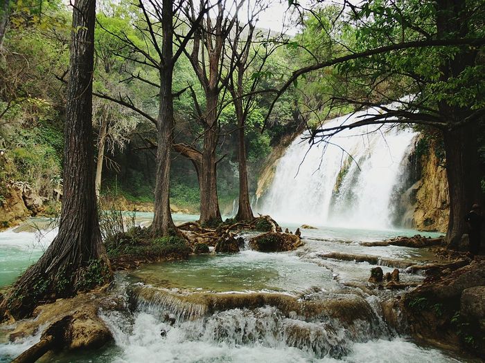 Scenic view of waterfall against trees