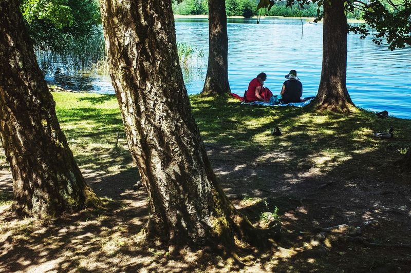 People sitting on tree trunk amidst plants