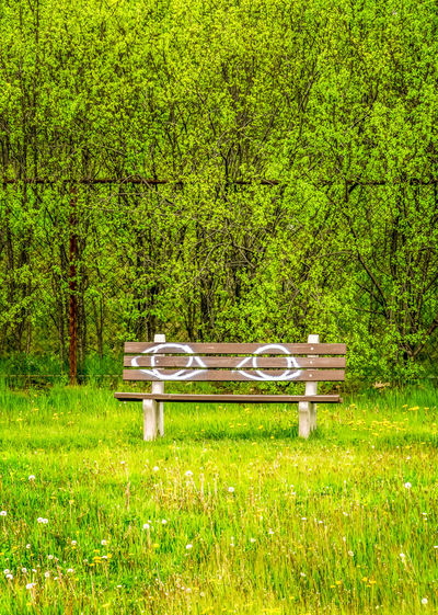 Empty benches on field against trees