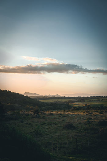 Scenic view of landscape against sky during sunset