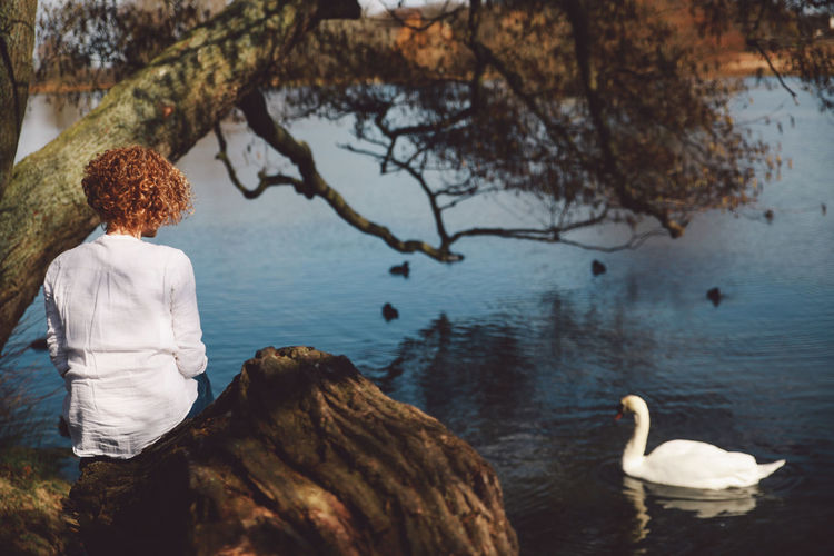 Rear view of woman sitting on rock with white swan swimming in lake