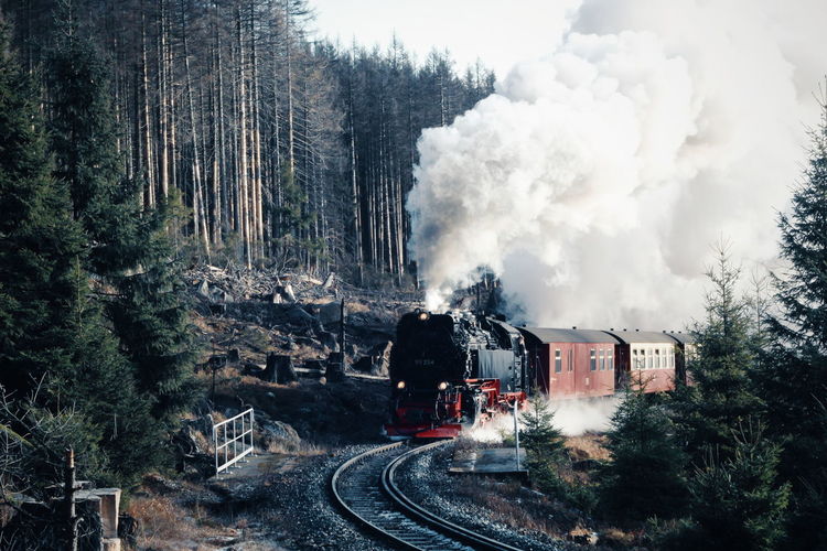 Train on railroad track amidst trees against sky