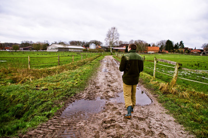 Rear view of man walking on farm