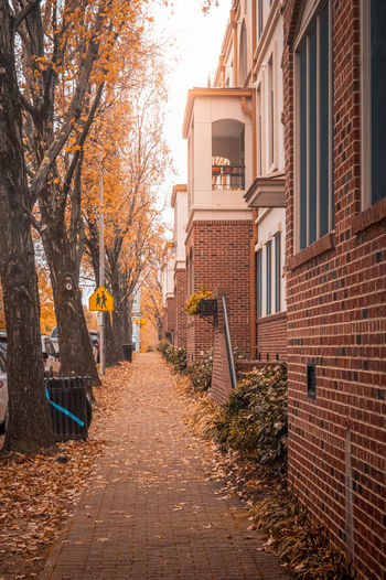Footpath amidst buildings in city during autumn