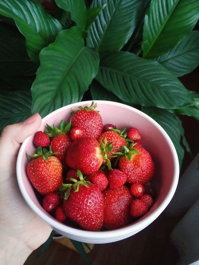 Close-up of strawberries