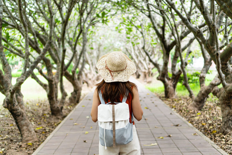 Rear view of woman standing on footpath amidst trees