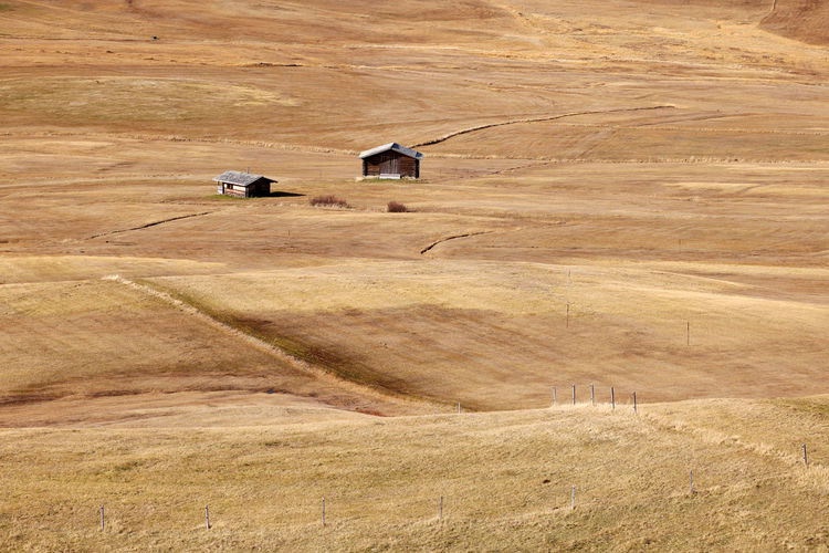 Scenic view of agricultural field