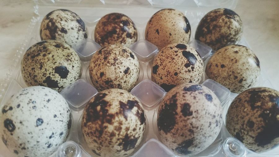 Close-up of quail eggs