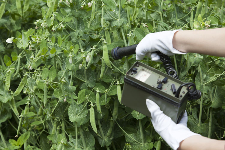 Cropped image of person using equipment while examining plants on field