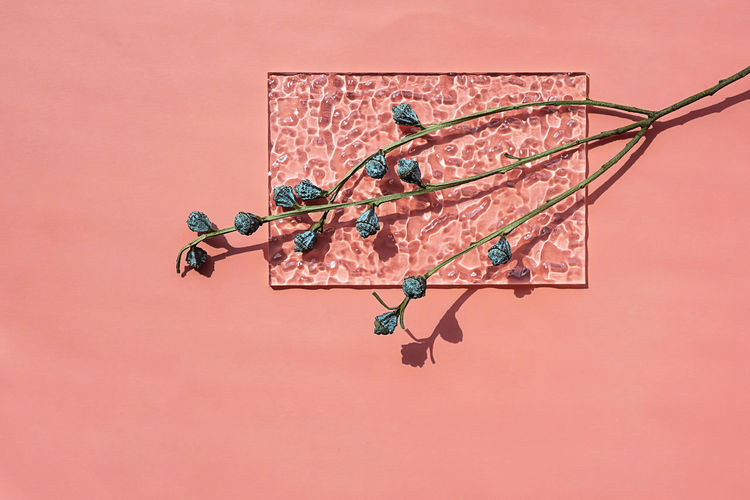 High angle view of multi colored decoration on pink background