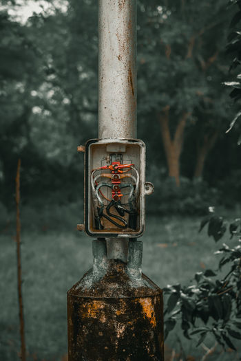 Close-up of old metal pole against trees