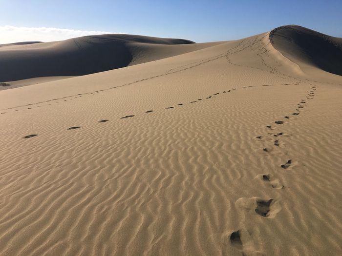 Sand dunes in desert