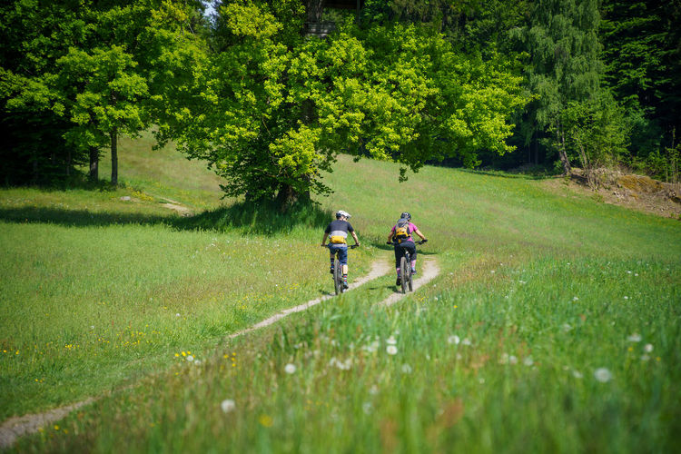 A young woman and a young man riding their mountain bikes on a singletrail near klagenfurt, austria.