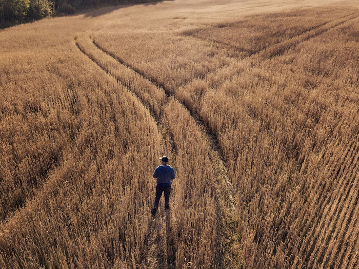 Man standing at rye field during sunset