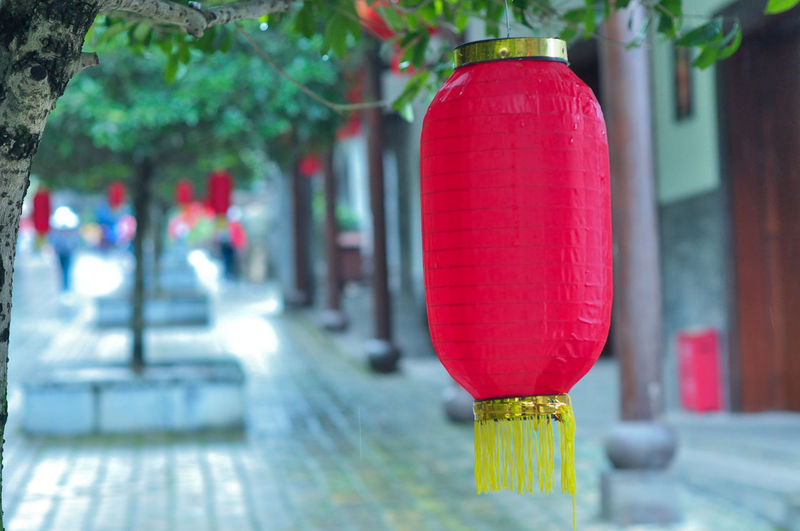 Close-up of red lanterns hanging on road in city