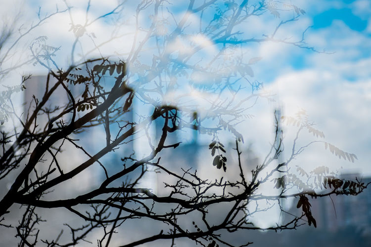 Low angle view of bare tree against cloudy sky