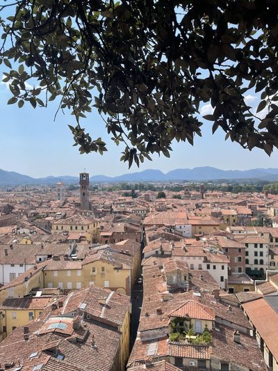 The wonderful view from the tower of lucca