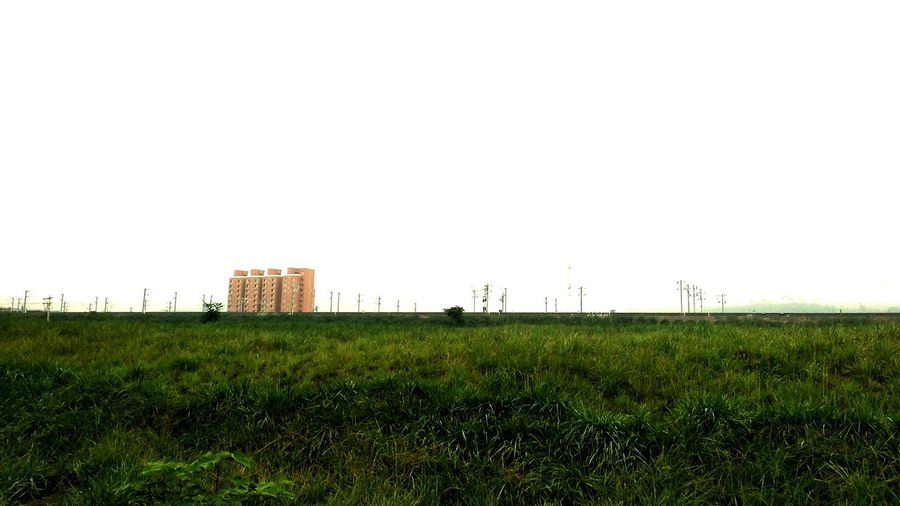 Scenic view of field against clear sky