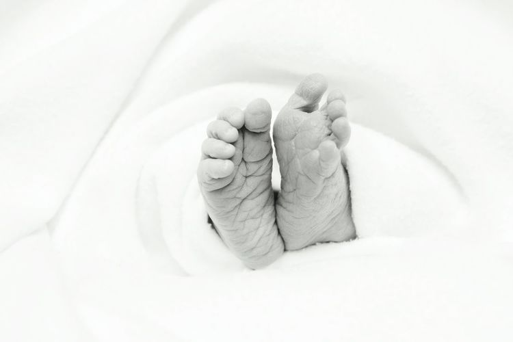 Close-up of baby's feet over white background