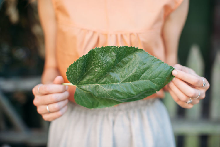 Close-up Freshness Green Green Color Holding Leaf Person Female Girl Natural Nature