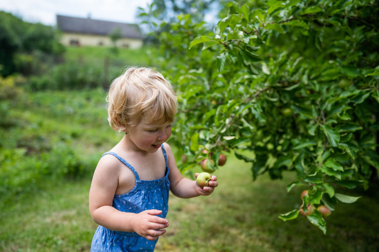 Little girl tearing an apple