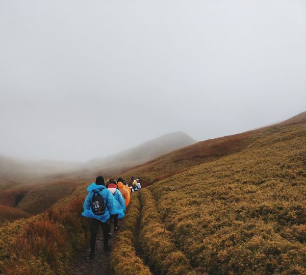Journey to mt. pulag.