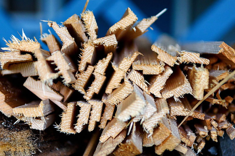 Forest firewood is neatly stacked in a woodpile outside