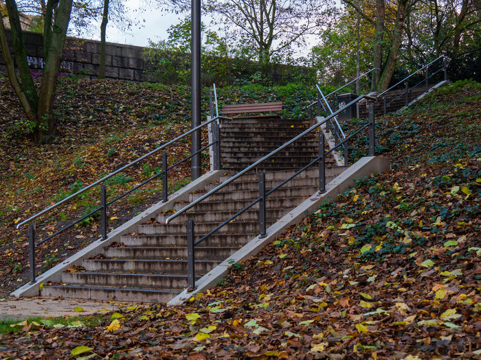 Staircase in forest during autumn