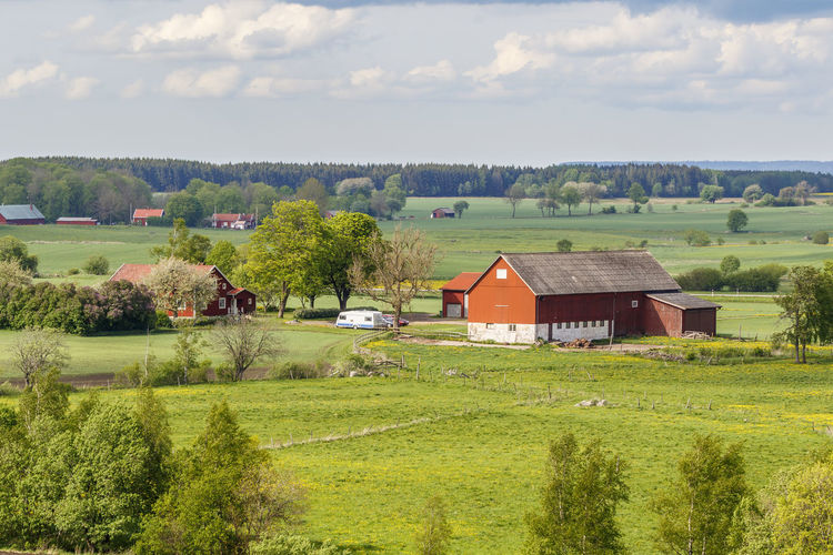 View of a rural landscape with a farm in the early summer