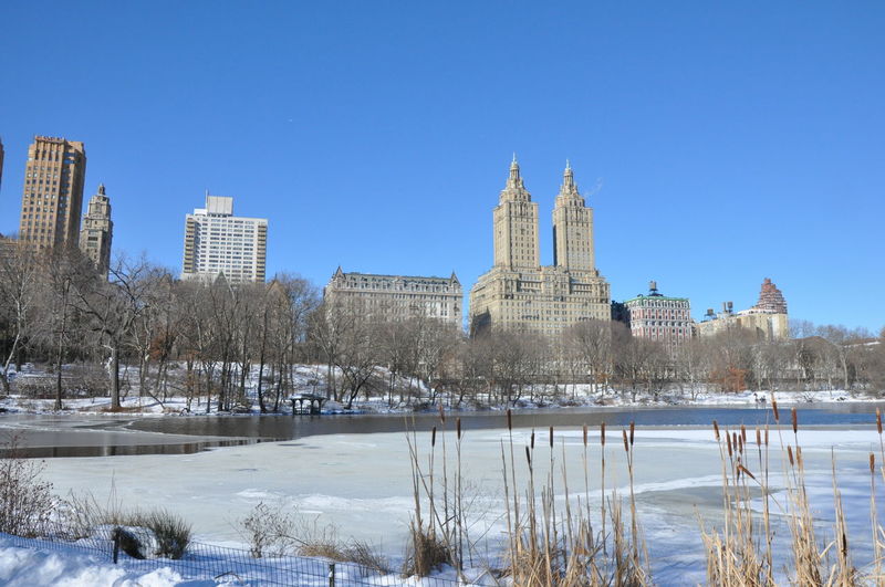 Frozen lake at central park against clear sky