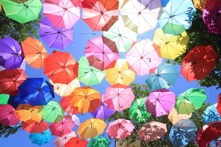 Low angle view of multi colored umbrellas hanging on plant
